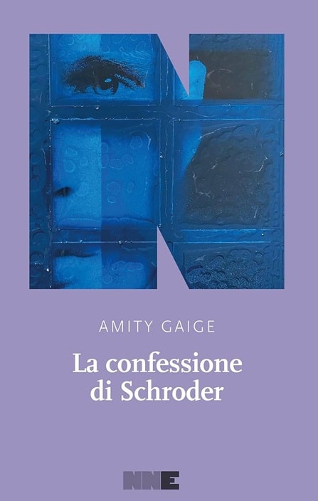 Sulla copertina de La confessione di Schroder di Amity Gaige s'intravede il volto di un uomo che si affaccia a una finestra ma che si nasconde per metà