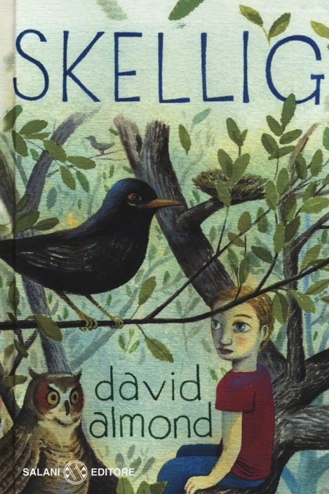 Sulla copertina di Skellig di David Almond c'è un disegno che rappresenta un grosso uccello nero, un gufo e un bambino appoggiati sui rami di un albero