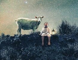 Sulla copertina di Pietra dolce di Valeria Tron c'è un bellissimo clielo stellato; un bambino e una pecora lo guardano, seduti sulla cima di una montagna