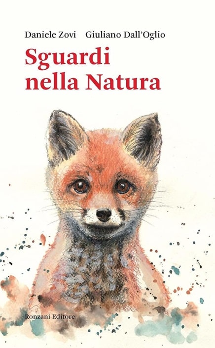 Sulla copertina di Sguardi nella natura di Daniele Zovi e Giuliano Dall'Oglio fa capolino un bellissimo ritratto a matita di una giovane volpe che guarda dritto verso chi legge